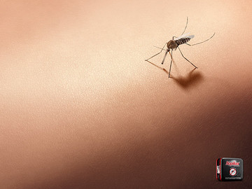 国外Nopikex防蚊虫叮咬广告海报设计作品欣赏