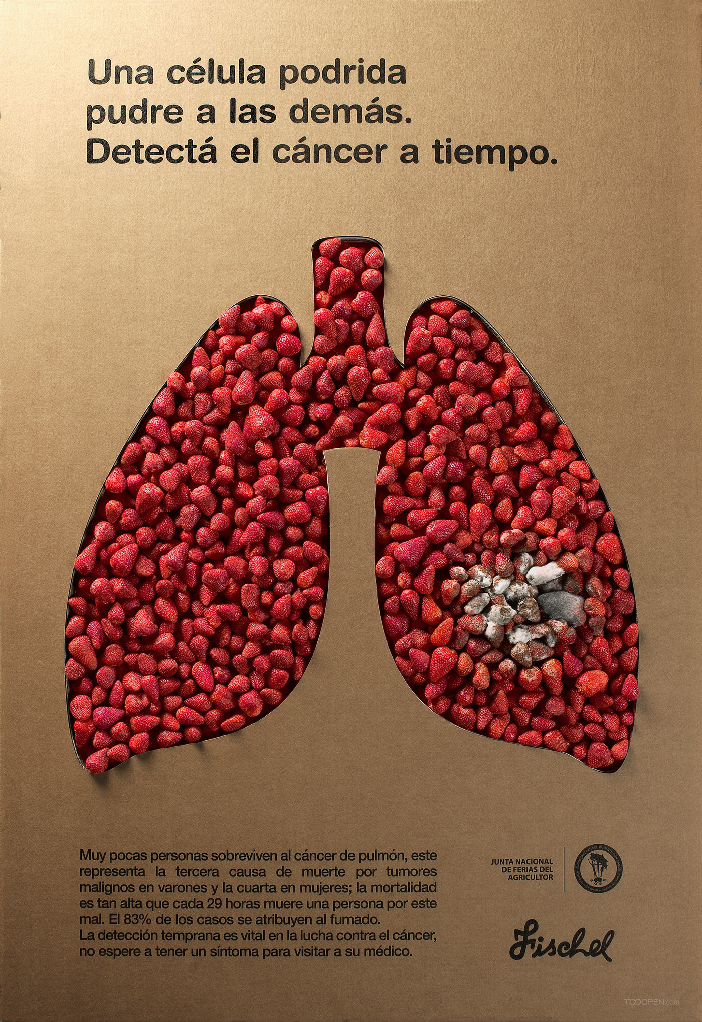 水果站的器官轮廓医学广告海报设计欣赏-06
