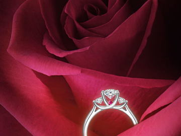 珠宝 浪漫情人节背景 玫瑰