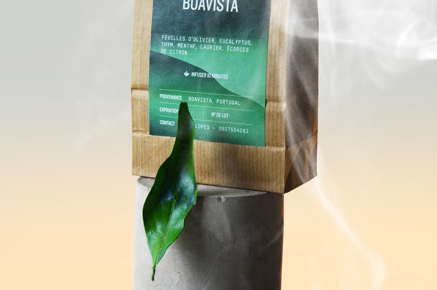 Tisanes de Boavista欧式茶叶包装作品欣赏-17