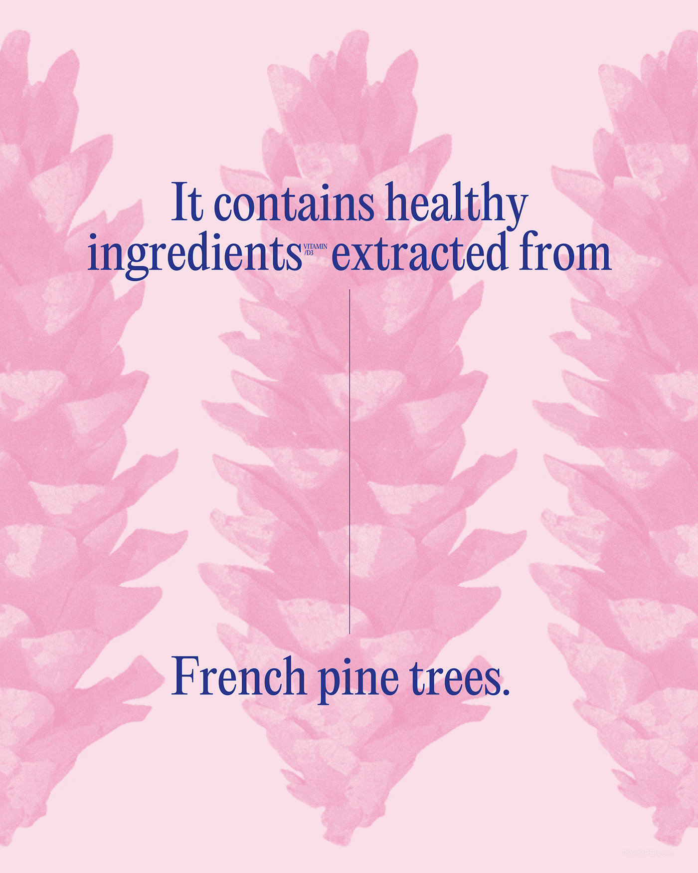 法国海岸松树皮提取物Pycno'gen保健品包装设计欣赏-03