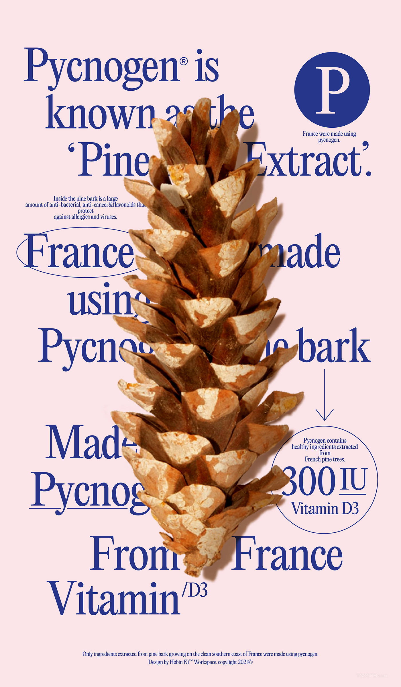 法国海岸松树皮提取物Pycno'gen保健品包装设计欣赏-11