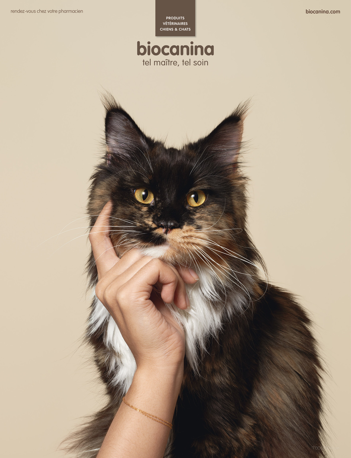 国外宠物护理品牌广告海报设计欣赏-02