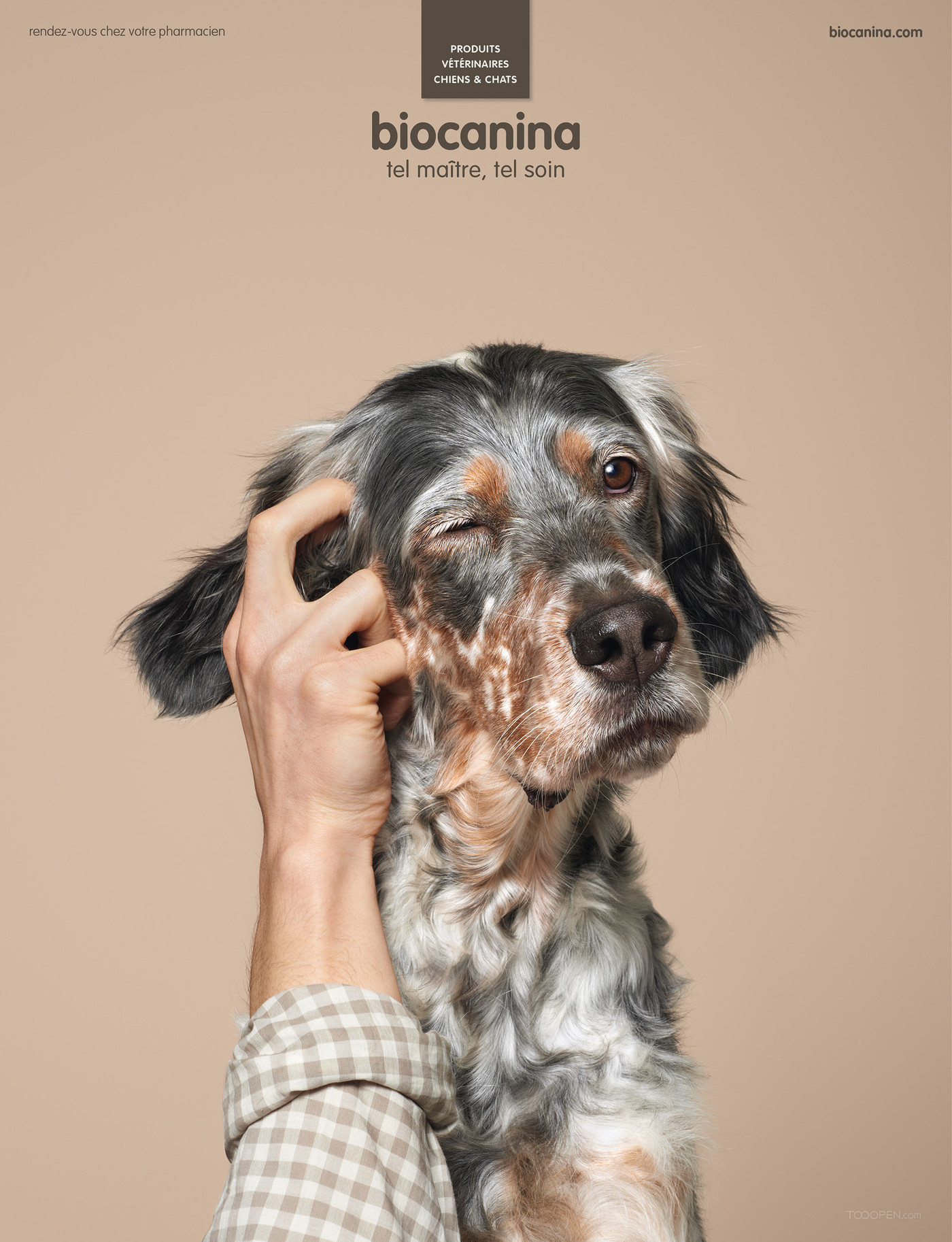 国外宠物护理品牌广告海报设计欣赏-05
