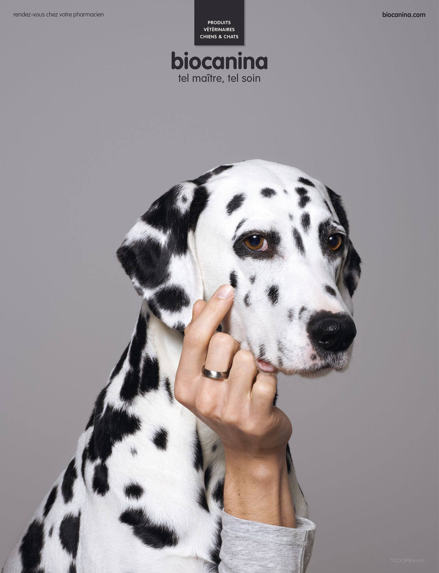 国外宠物护理品牌广告海报设计欣赏-04
