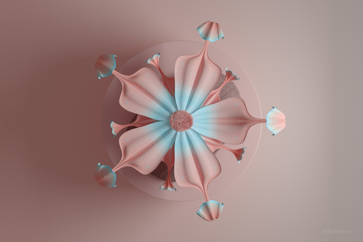 3D花朵插画作品欣赏-05