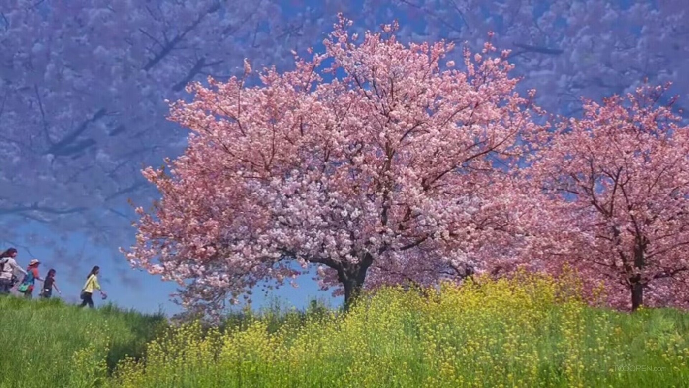 風(fēng)景 踏青 田野風(fēng)光-02