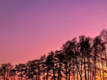 夕陽余暉，森林云海。