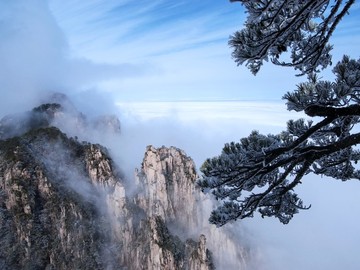 安徽黄山雪景树挂图片