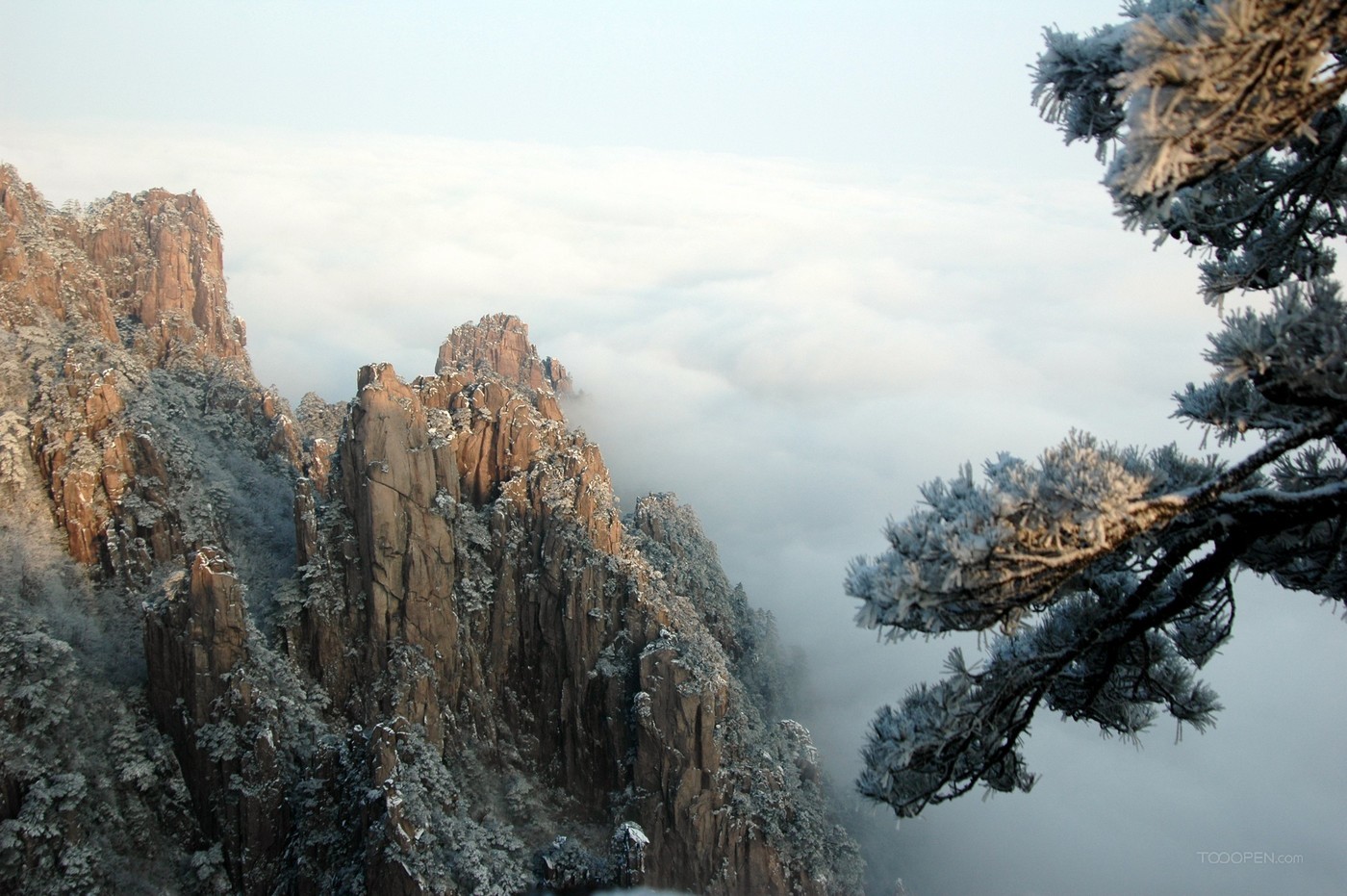 安徽黃山風景度假區(qū)圖片-22