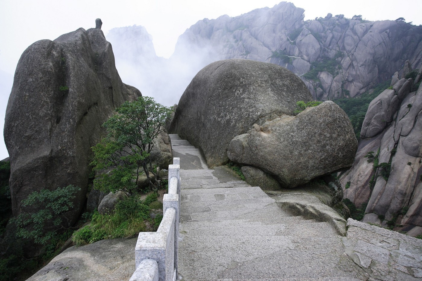 安徽黃山風景度假區(qū)圖片-24