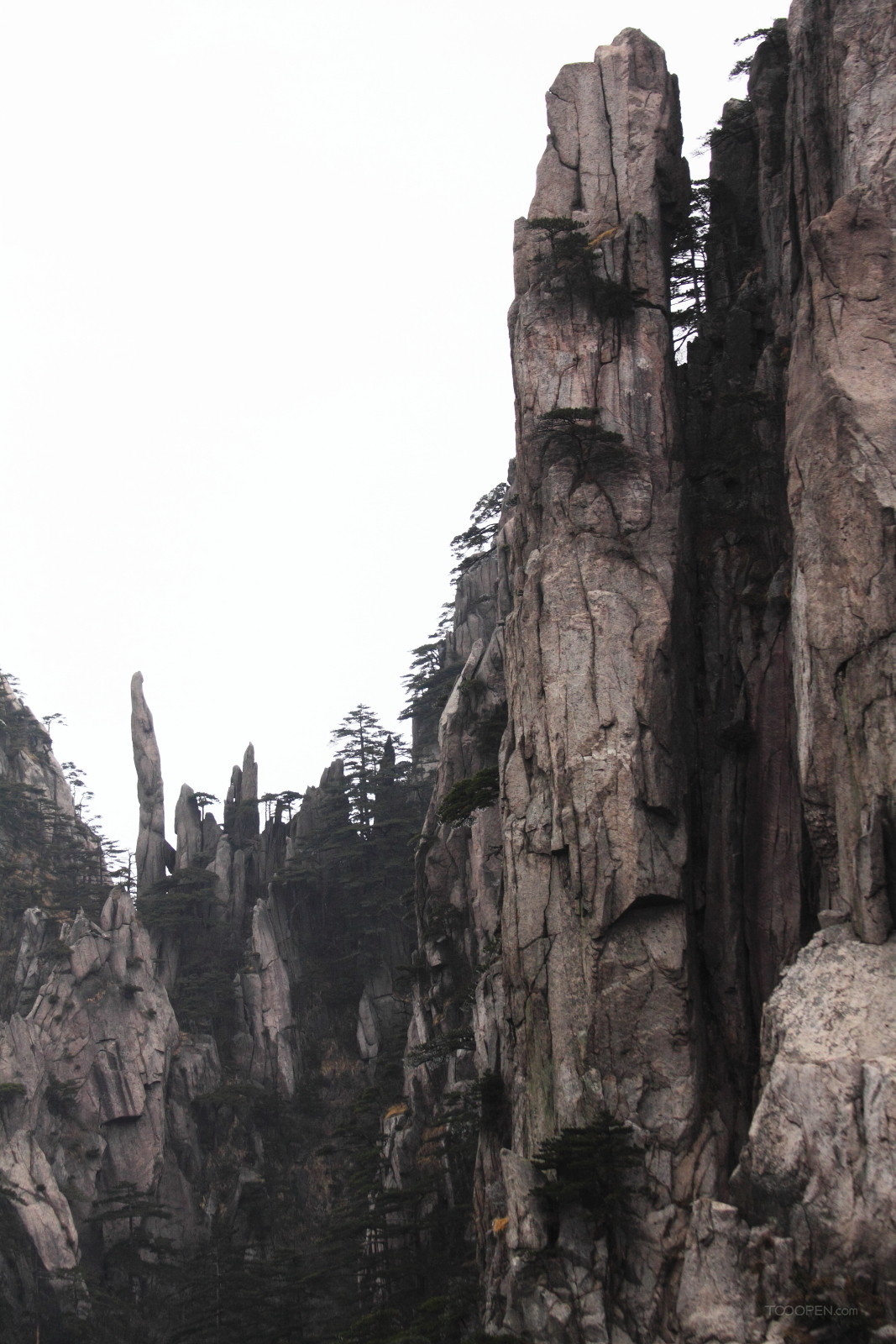 安徽黄山奇松风景图片-05