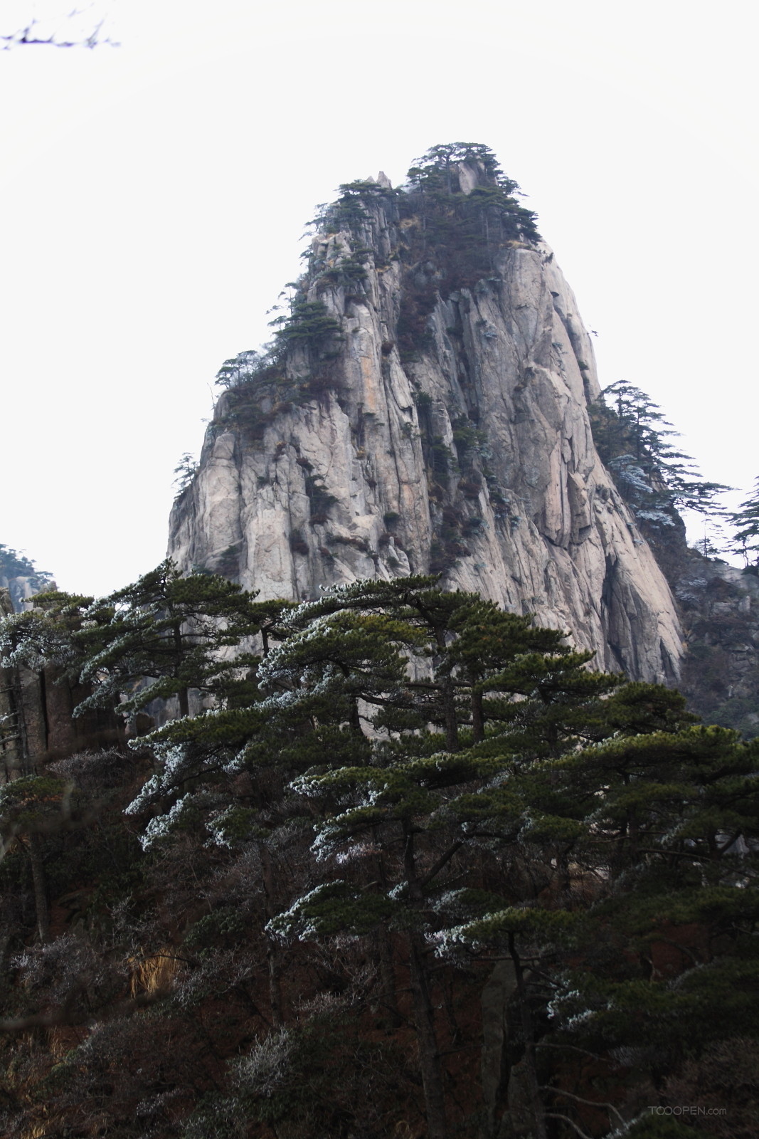 安徽黃山奇松風(fēng)景圖片-08