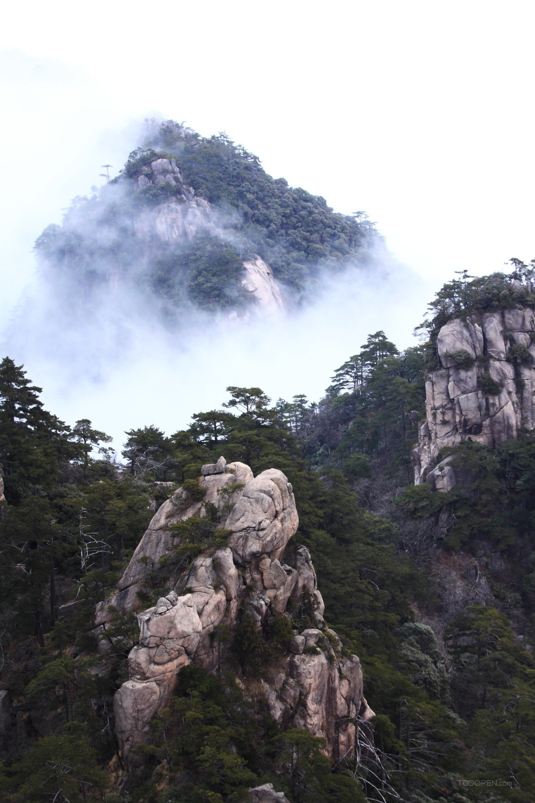 安徽黃山奇松風(fēng)景圖片-13