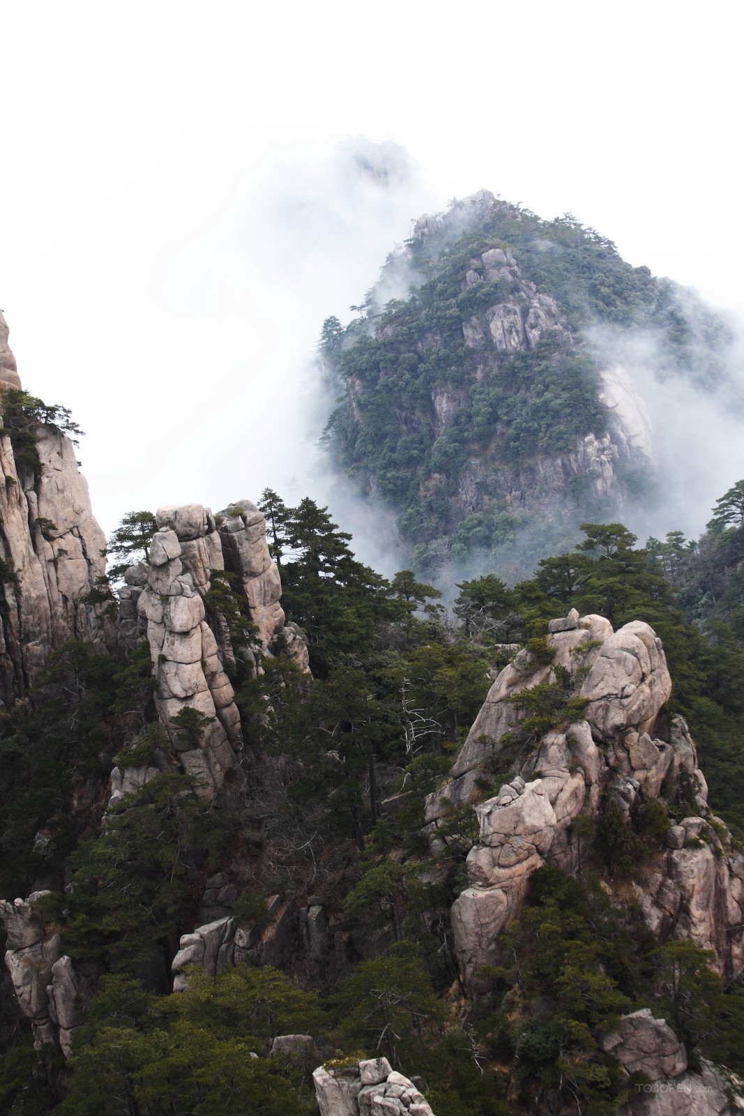 安徽黄山奇松风景图片-15