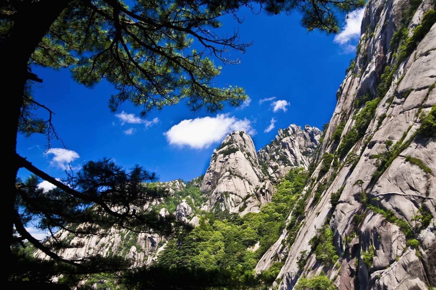 安徽黄山风景区摄影图片-10