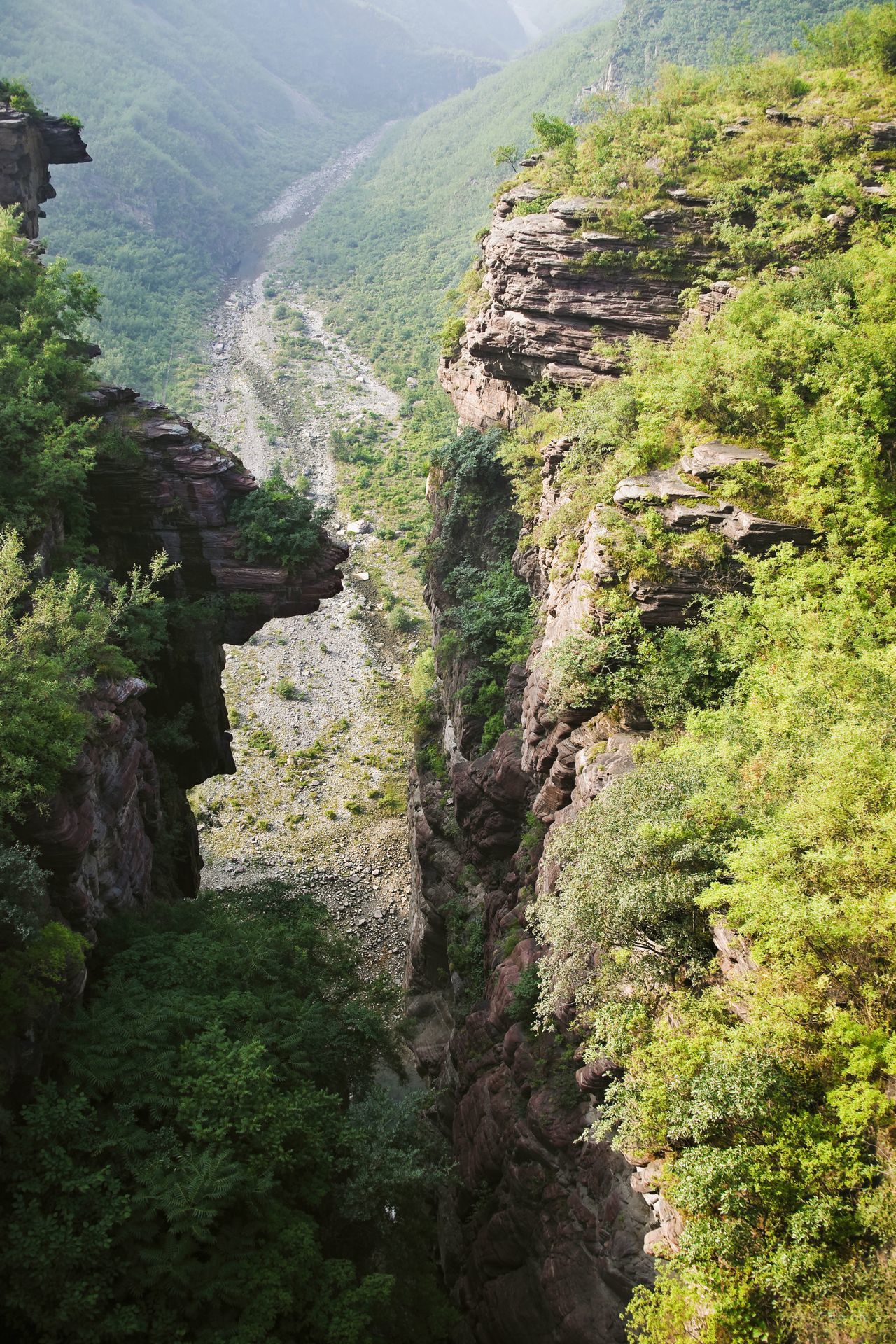 安徽黄山风景区摄影图片-17