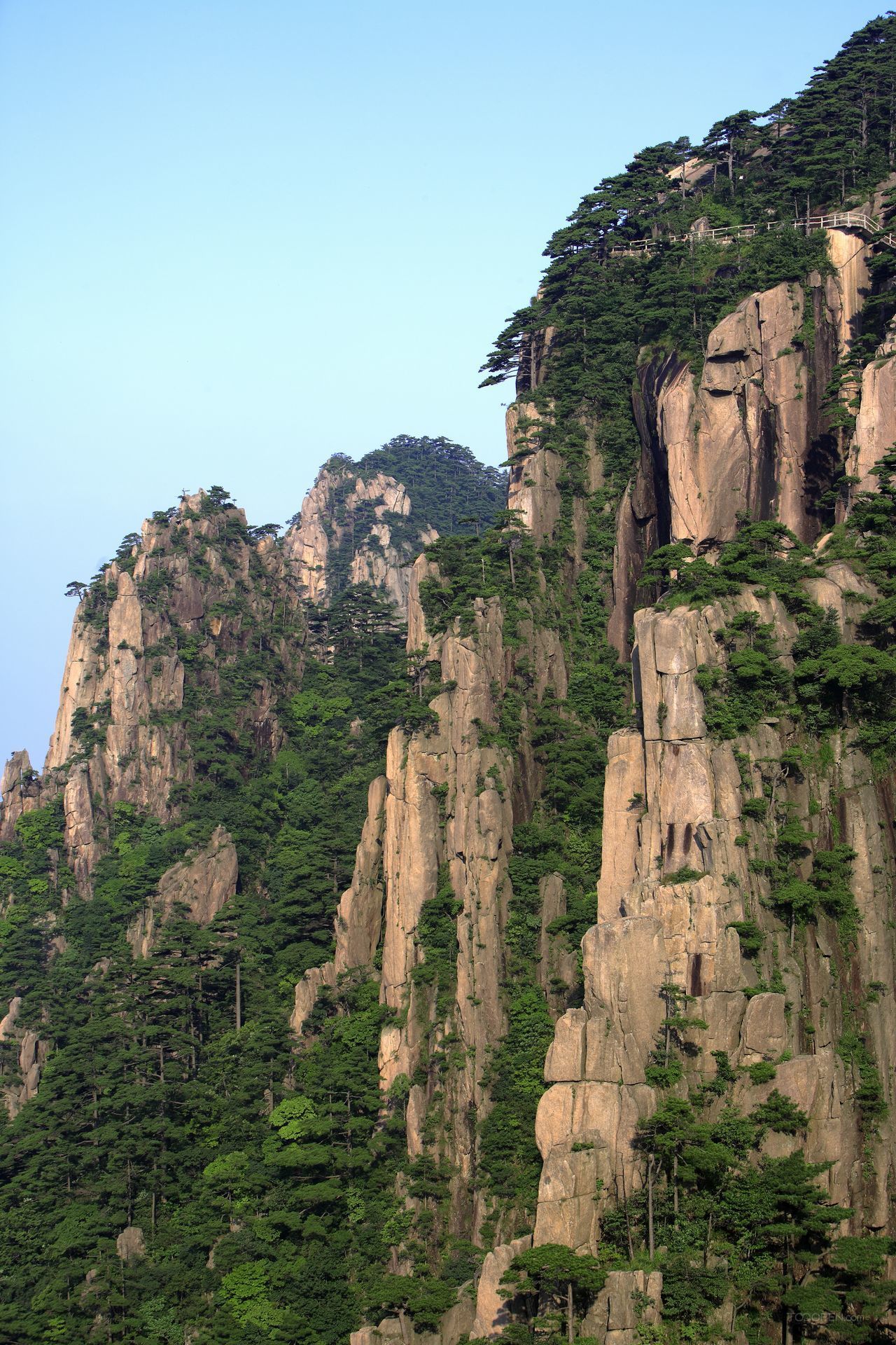 安徽黄山风景区摄影图片-13