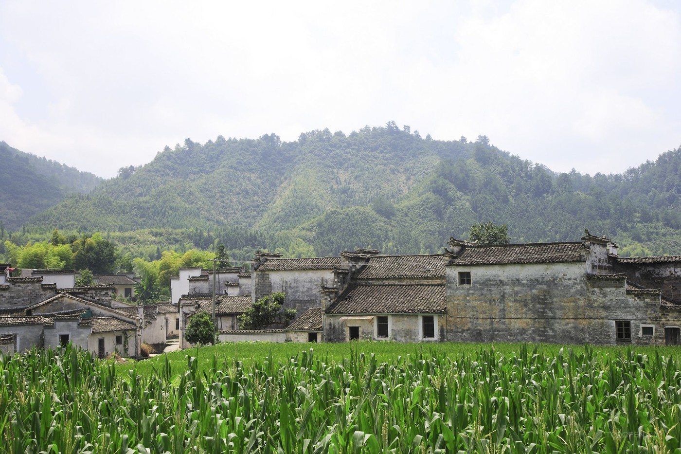 安徽黄山西递风光图片-09