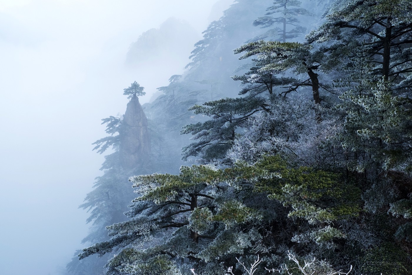 安徽黄山雪景树挂图片-03