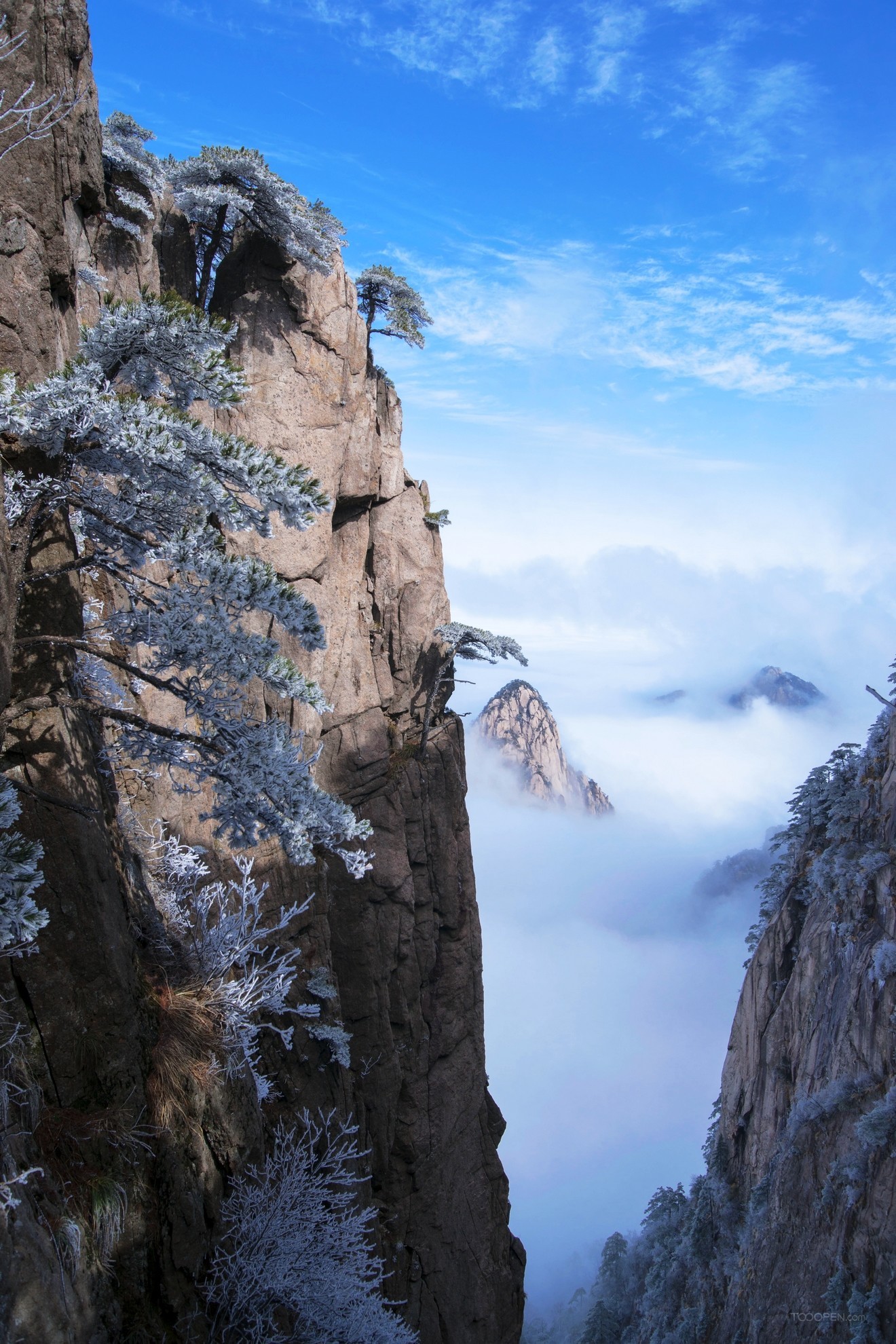 安徽黄山雪景树挂图片-08