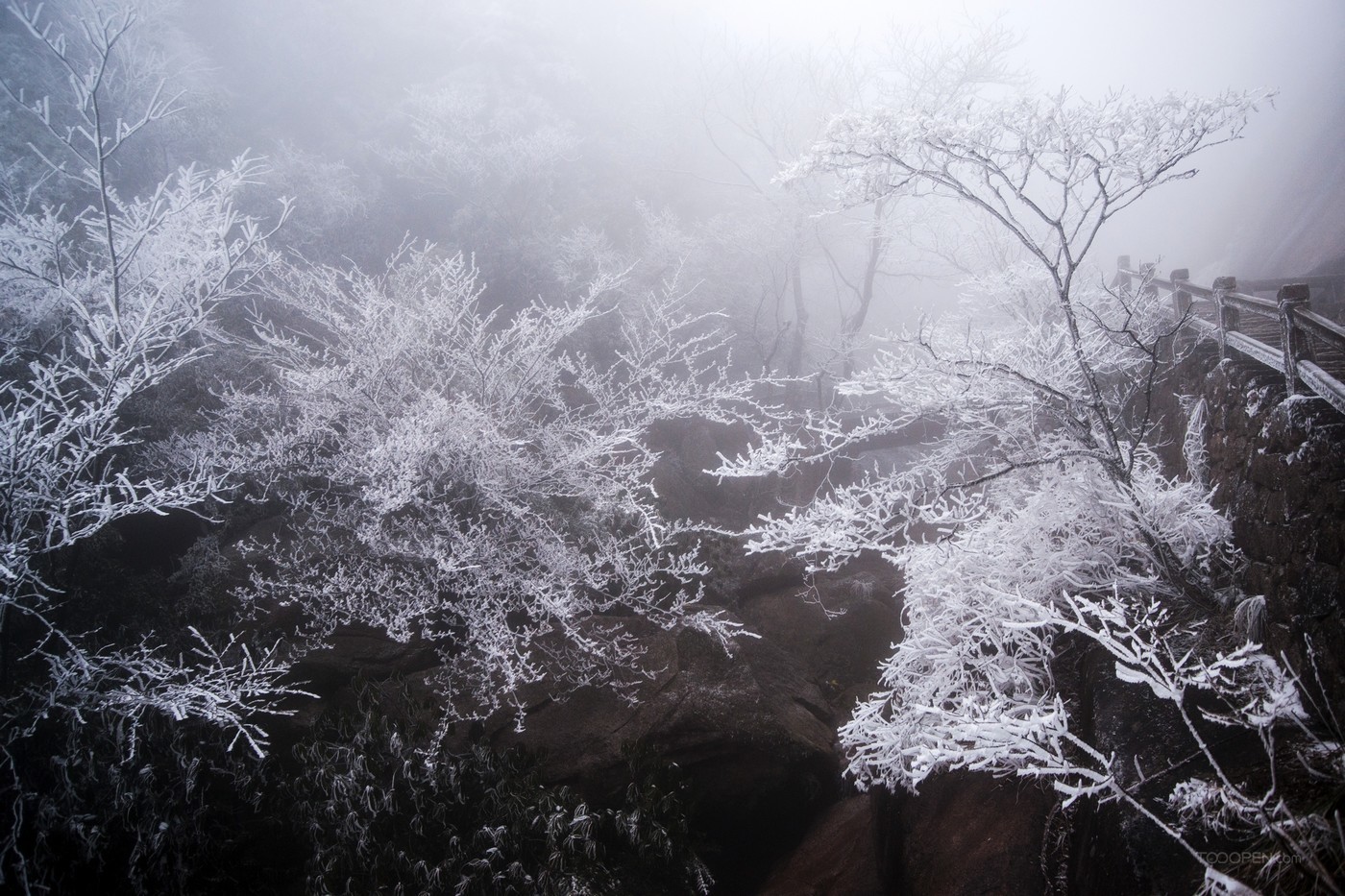 安徽黄山雪景树挂图片-10