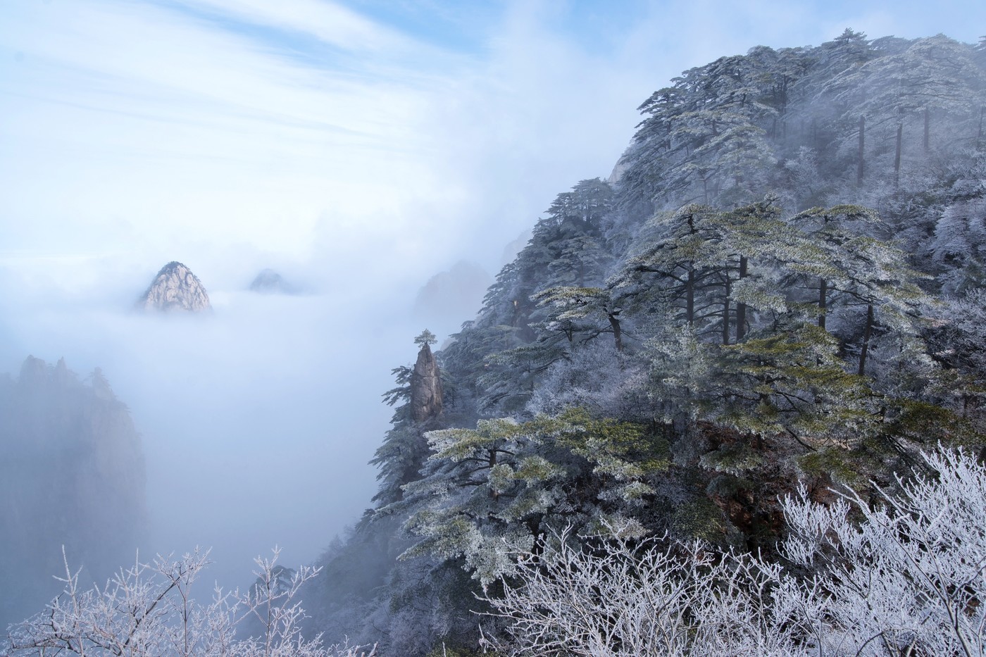 安徽黄山雪景树挂图片-12