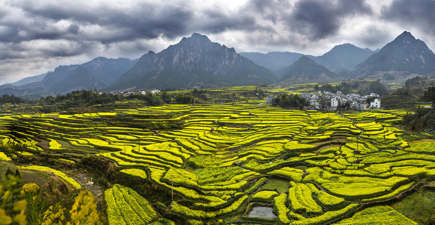 安徽绩溪家朋油菜花风景图片-01