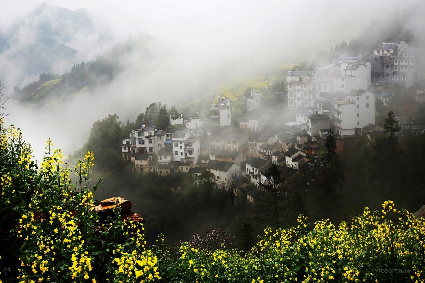 安徽石潭油菜花风景图片-03