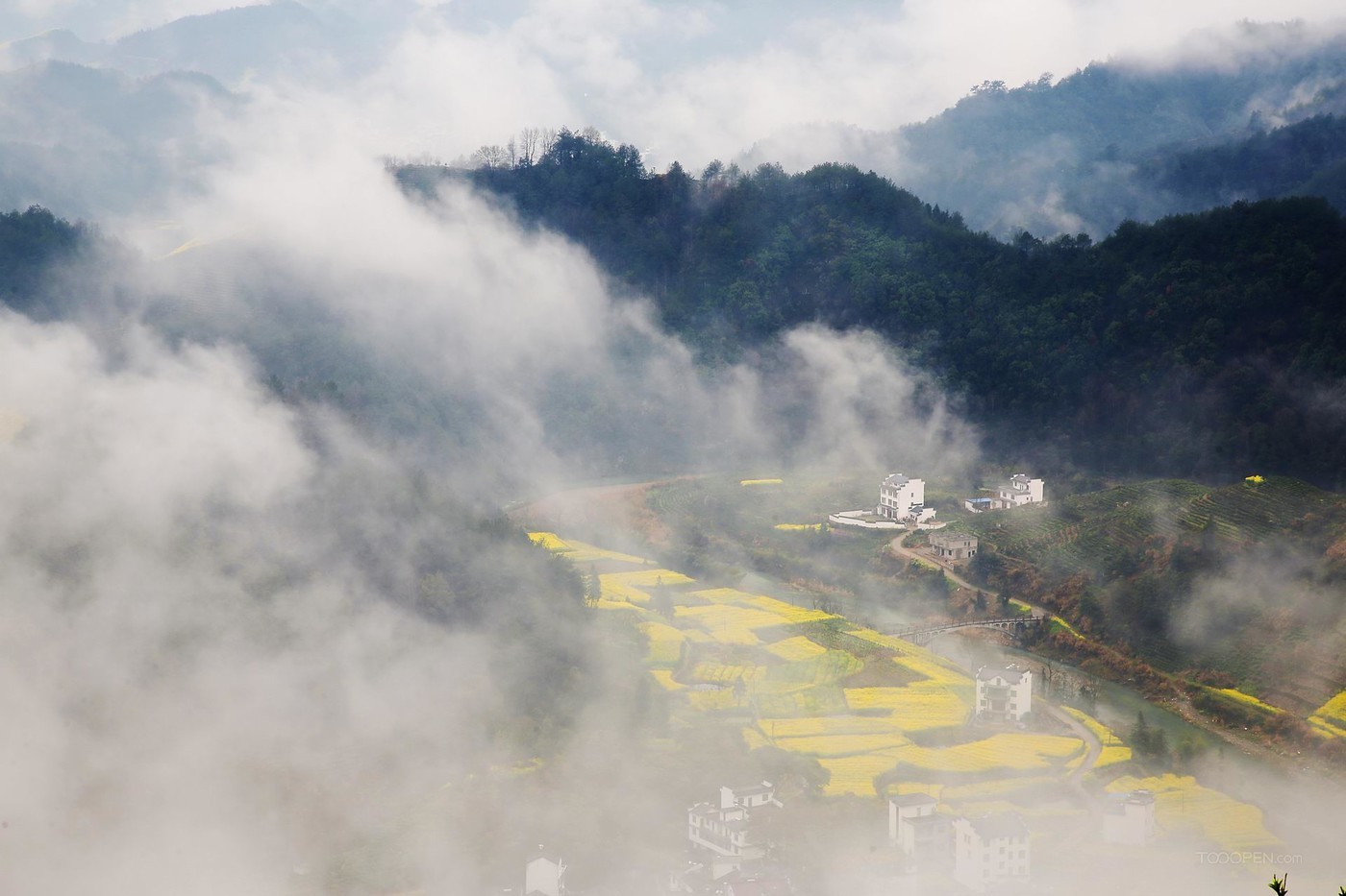 安徽石潭油菜花风景图片-04