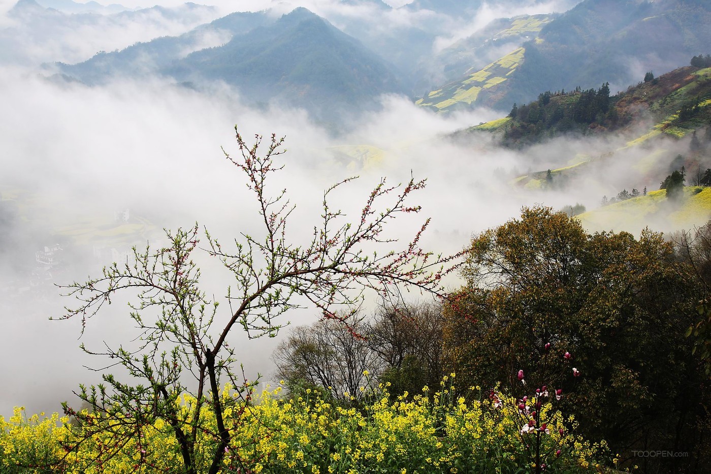 安徽石潭油菜花风景图片-05