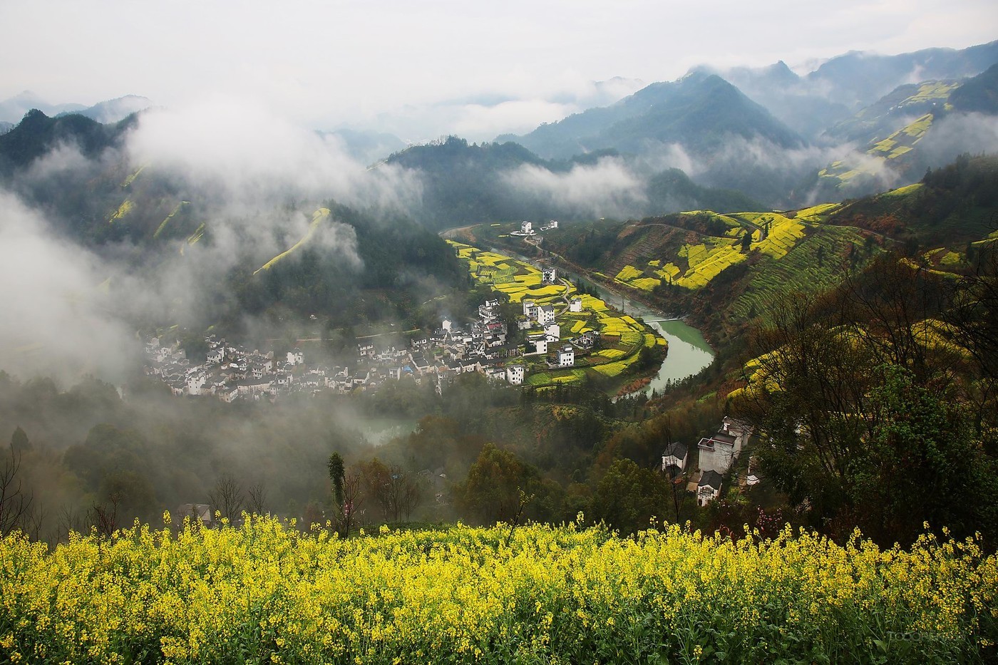 安徽石潭油菜花风景图片-07