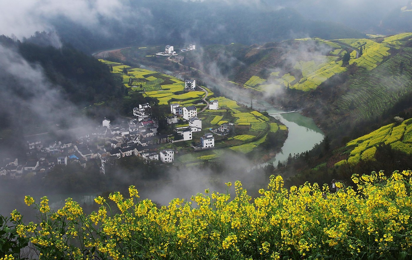 安徽石潭油菜花风景图片-08