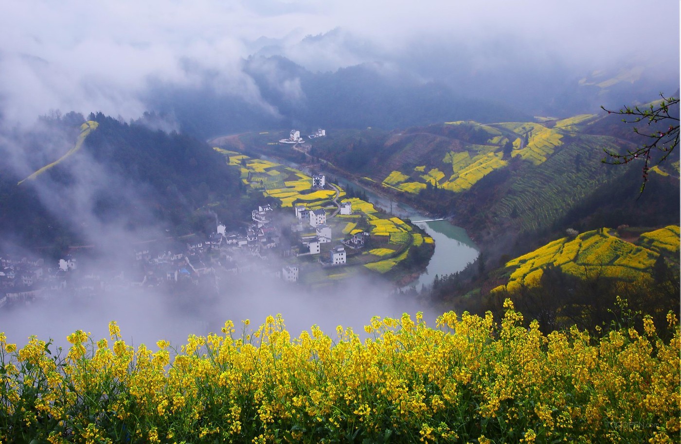 安徽石潭油菜花风景图片-09