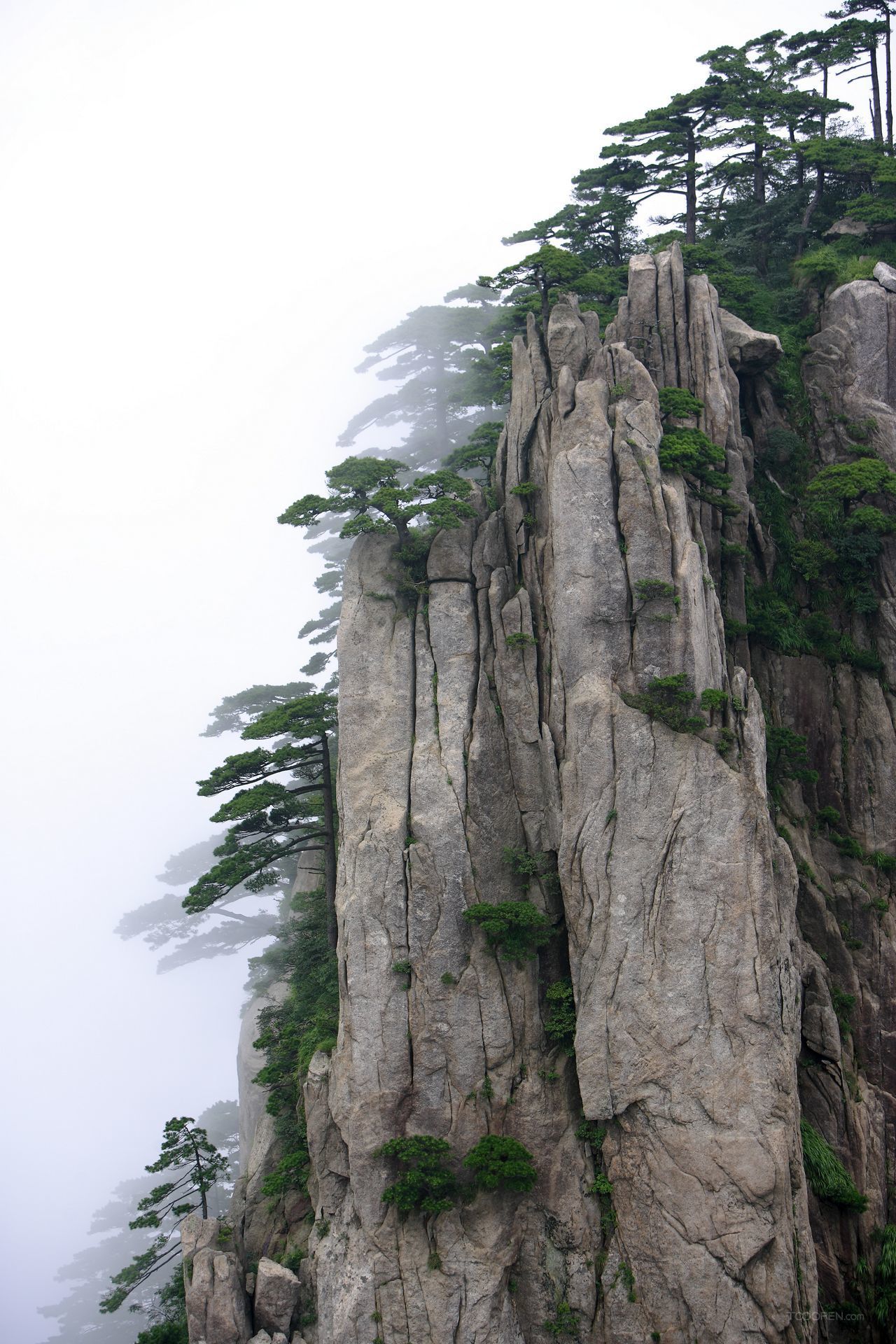 安徽黄山怪石摄影图片-27