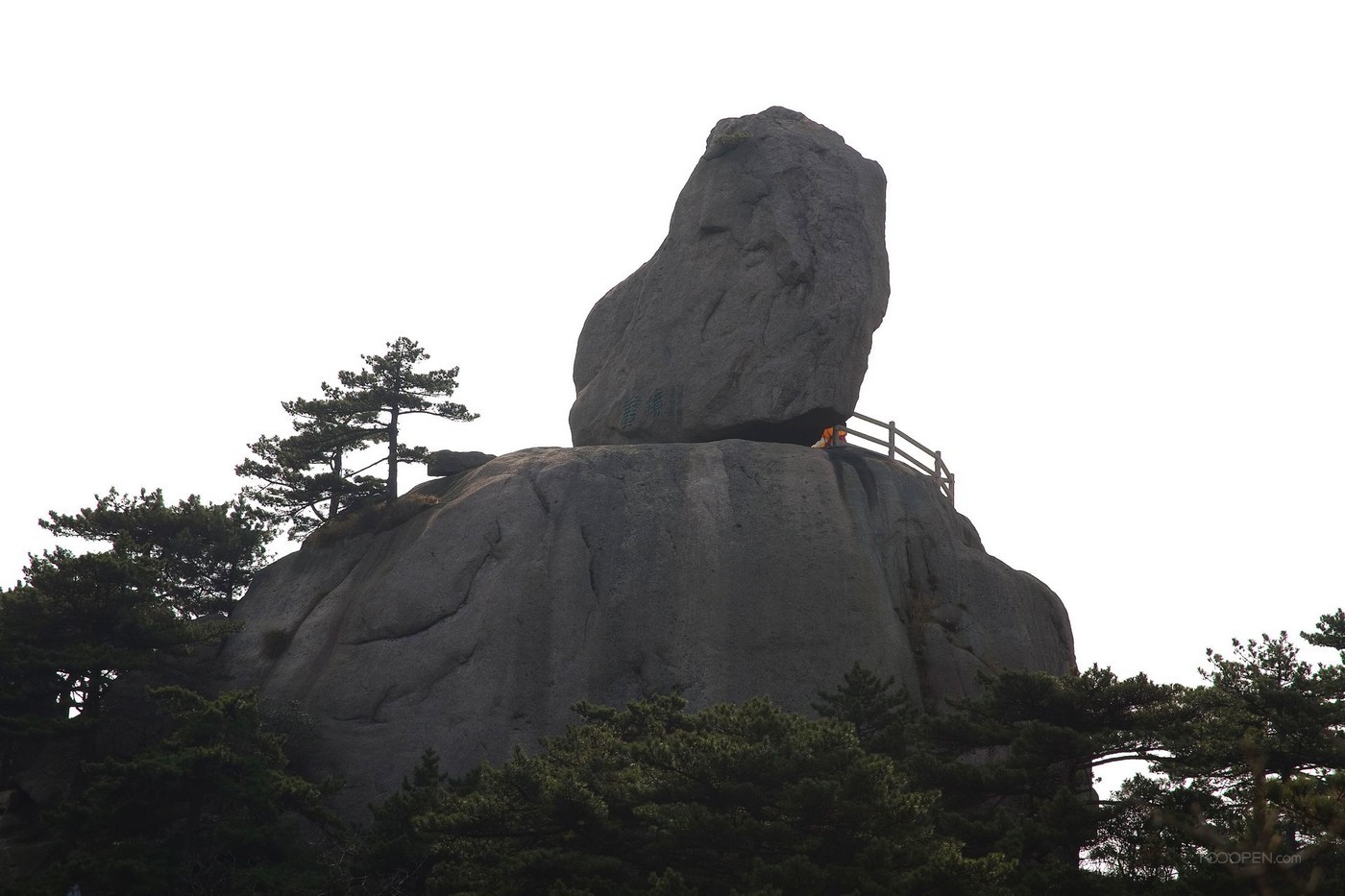 安徽黃山奇松攝影圖片-01