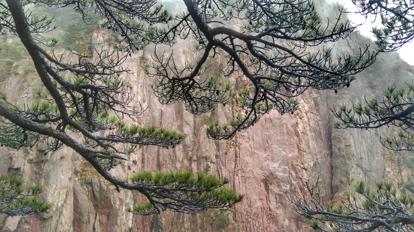 巍峨的安徽黃山自然風(fēng)景圖片-13