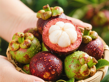 新鲜现摘山竹创意摄影高清美图