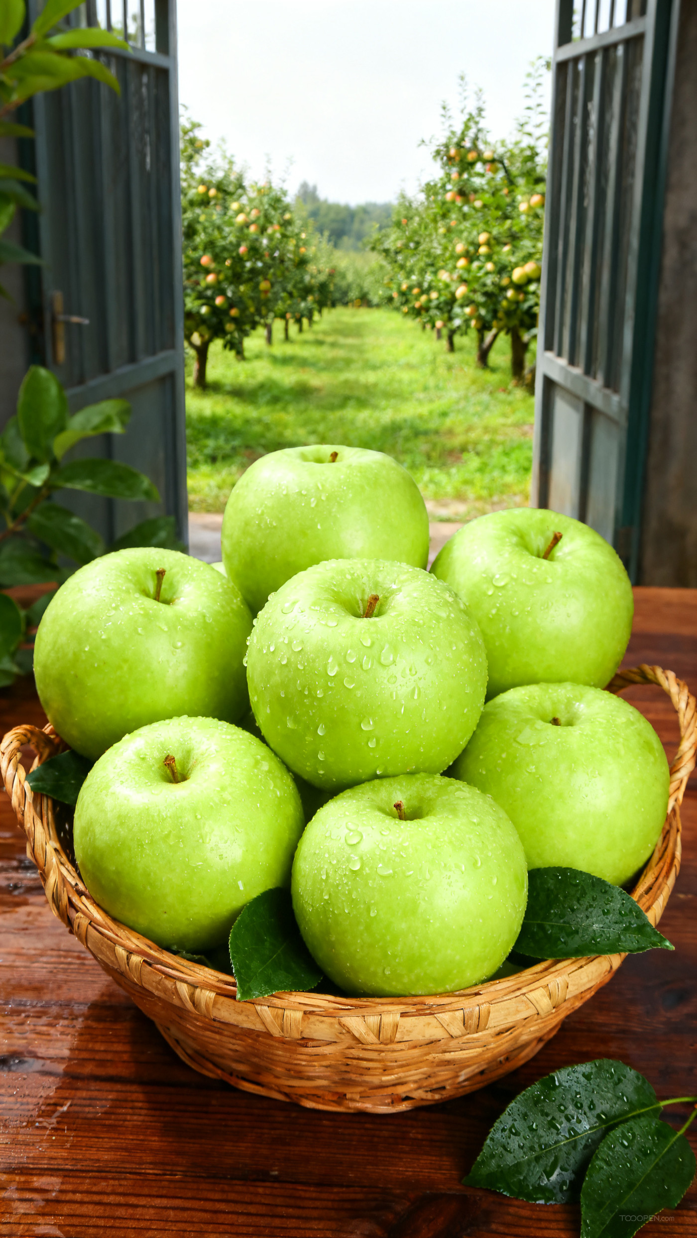 新鲜现摘青苹果创意摄影高清美图-01