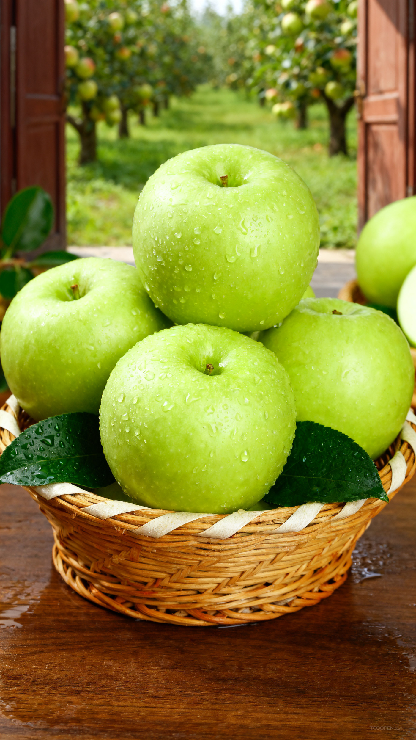 新鲜现摘青苹果创意摄影高清美图-03