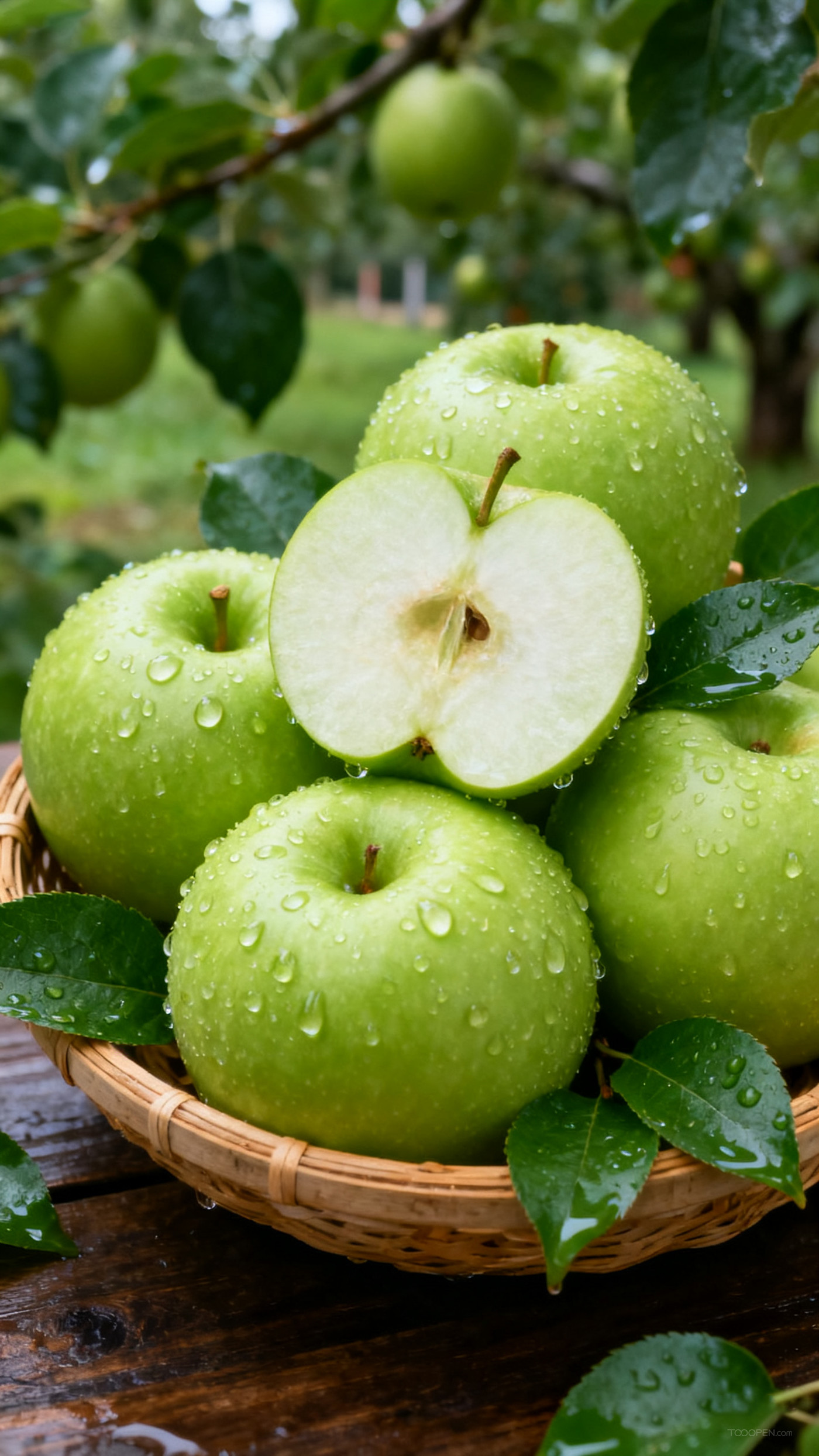 新鲜现摘青苹果创意摄影高清美图-05
