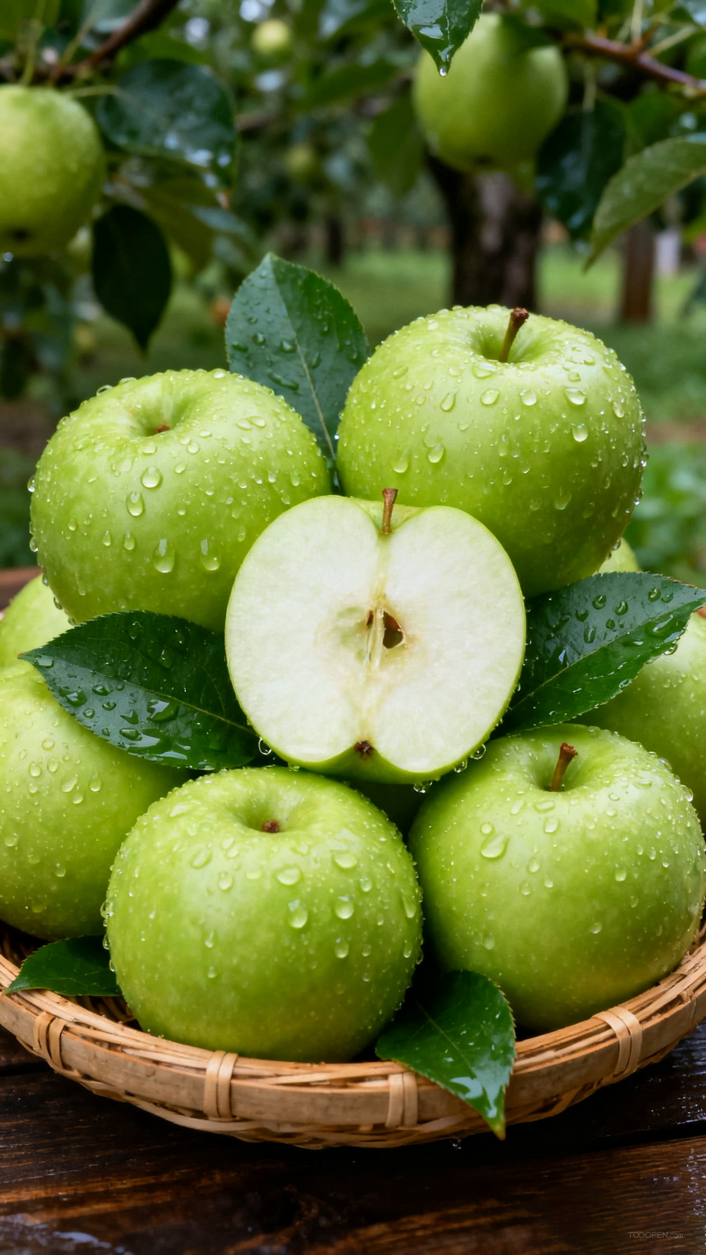 新鲜现摘青苹果创意摄影高清美图-07