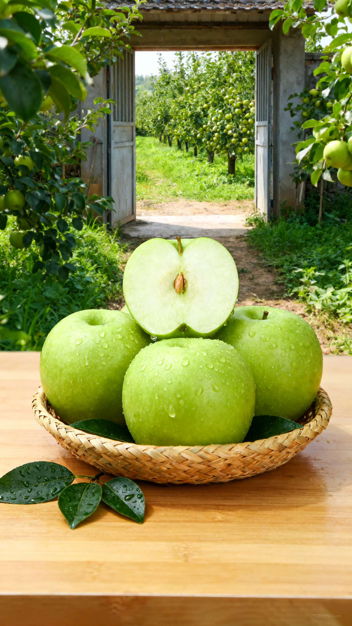 新鲜现摘青苹果创意摄影高清美图-09