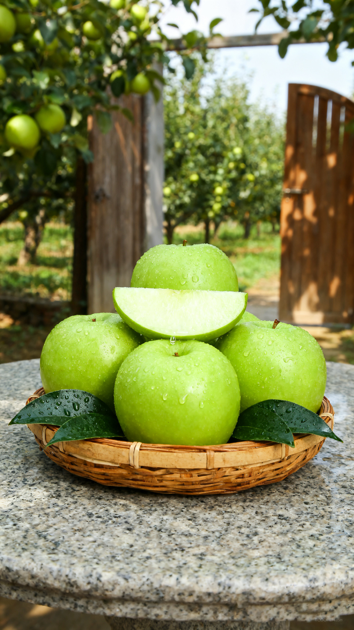 新鲜现摘青苹果创意摄影高清美图-10