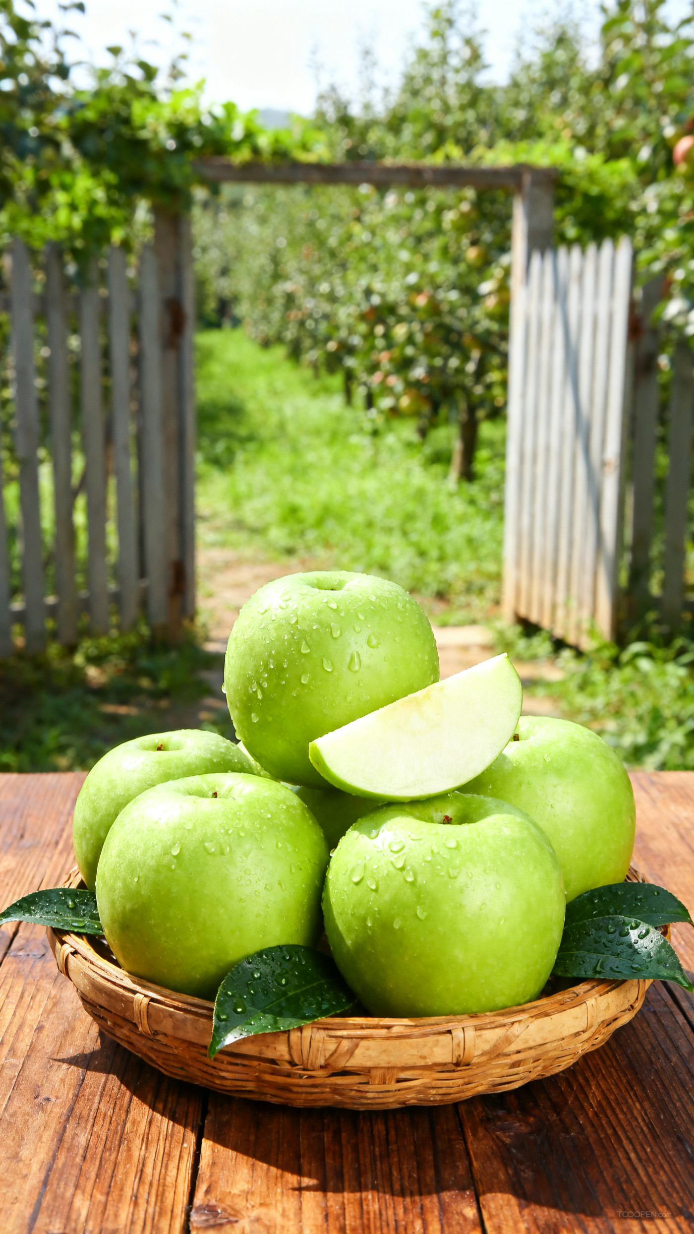 新鲜现摘青苹果创意摄影高清美图-12