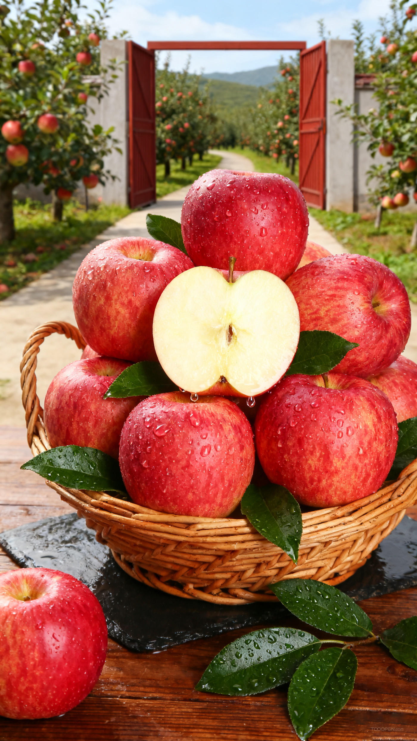 新鲜现摘红苹果创意摄影高清美图-05