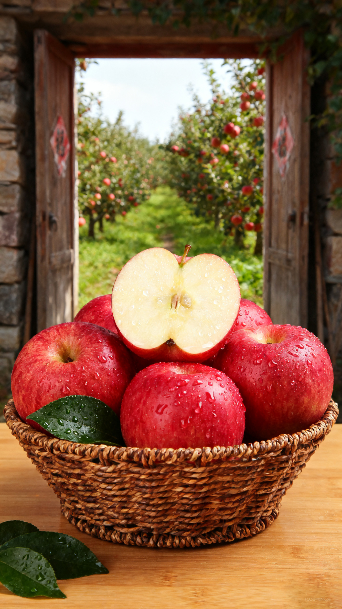 新鲜现摘红苹果创意摄影高清美图-09