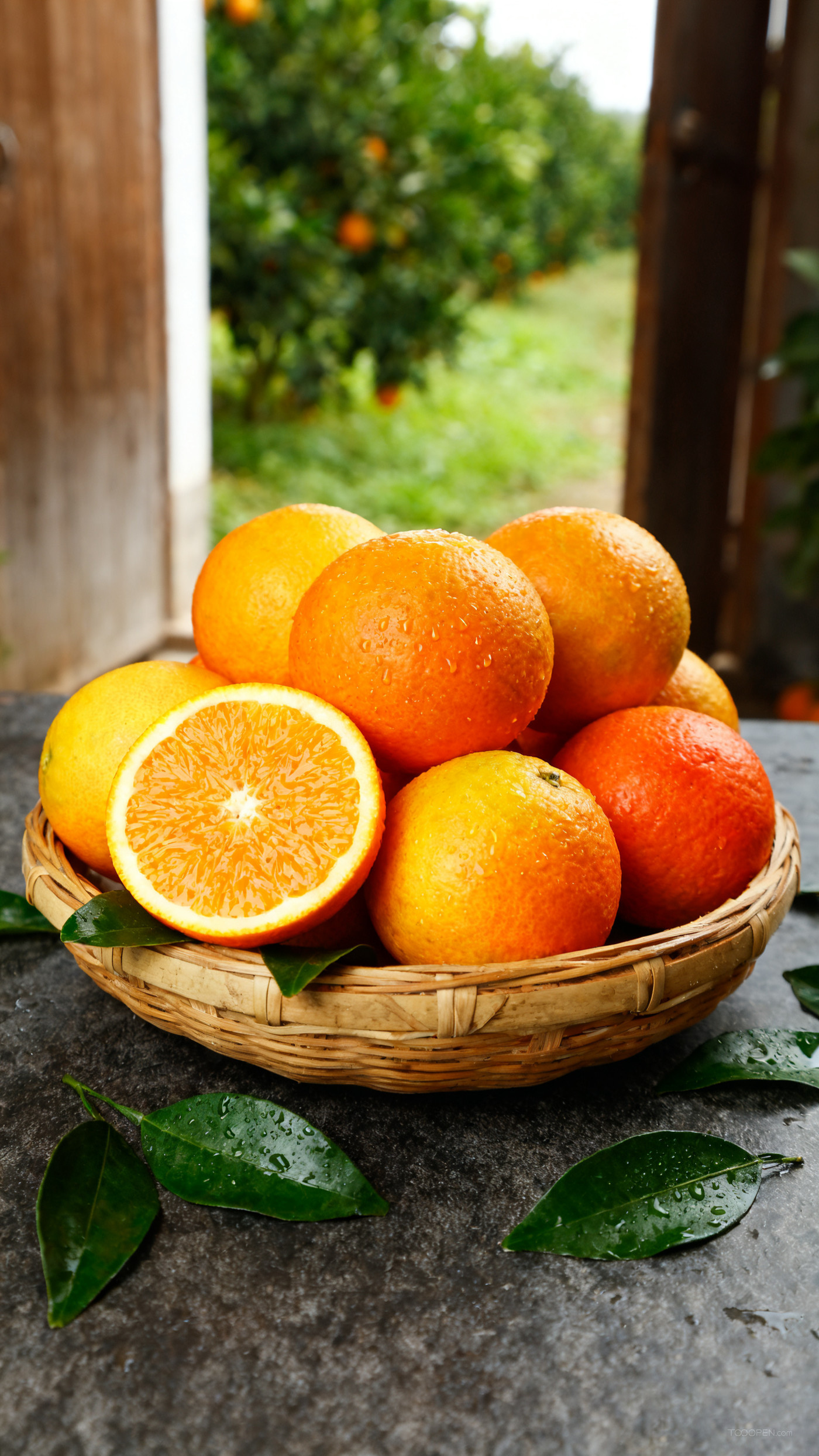 新鲜现摘橙子创意摄影高清美图-09