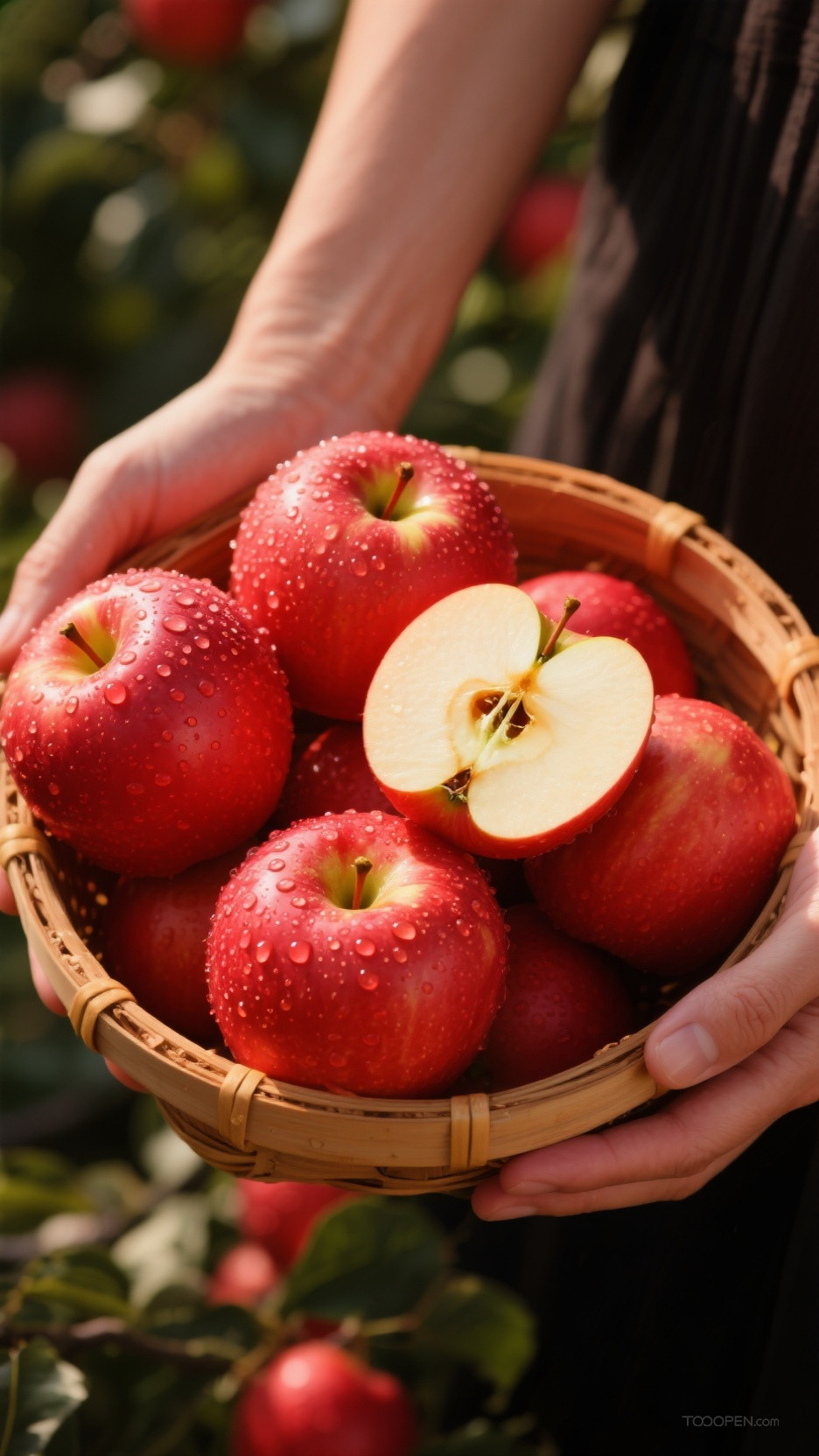 新鲜现摘青苹果红苹果创意摄影高清美图-03