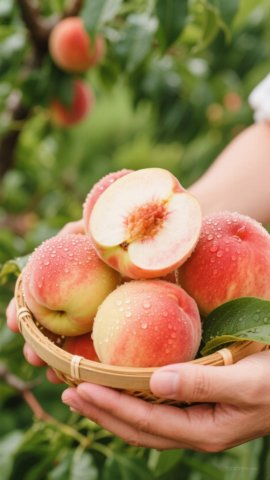 新鲜现摘水蜜桃创意摄影高清美图8张-01